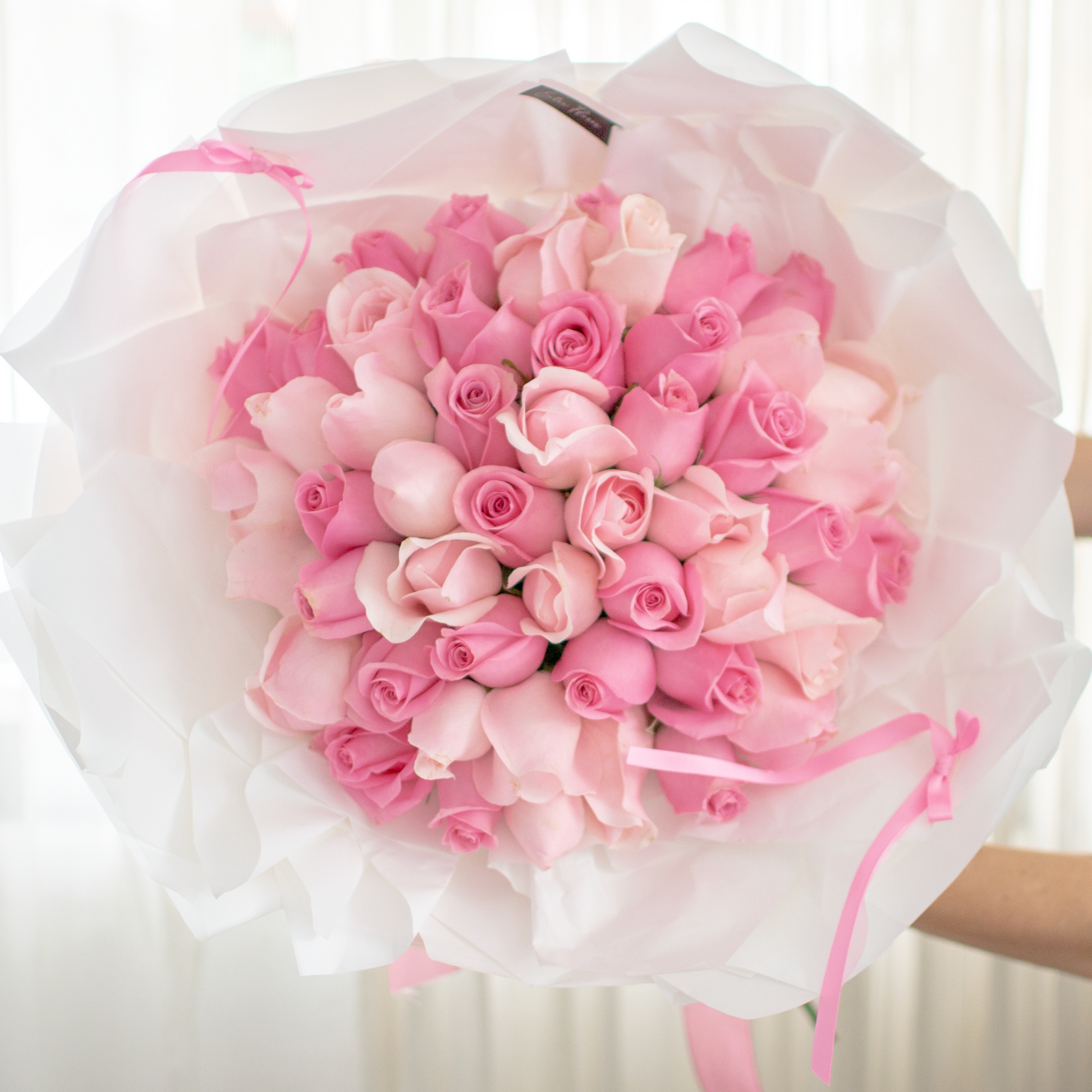 Elegancia Rosa