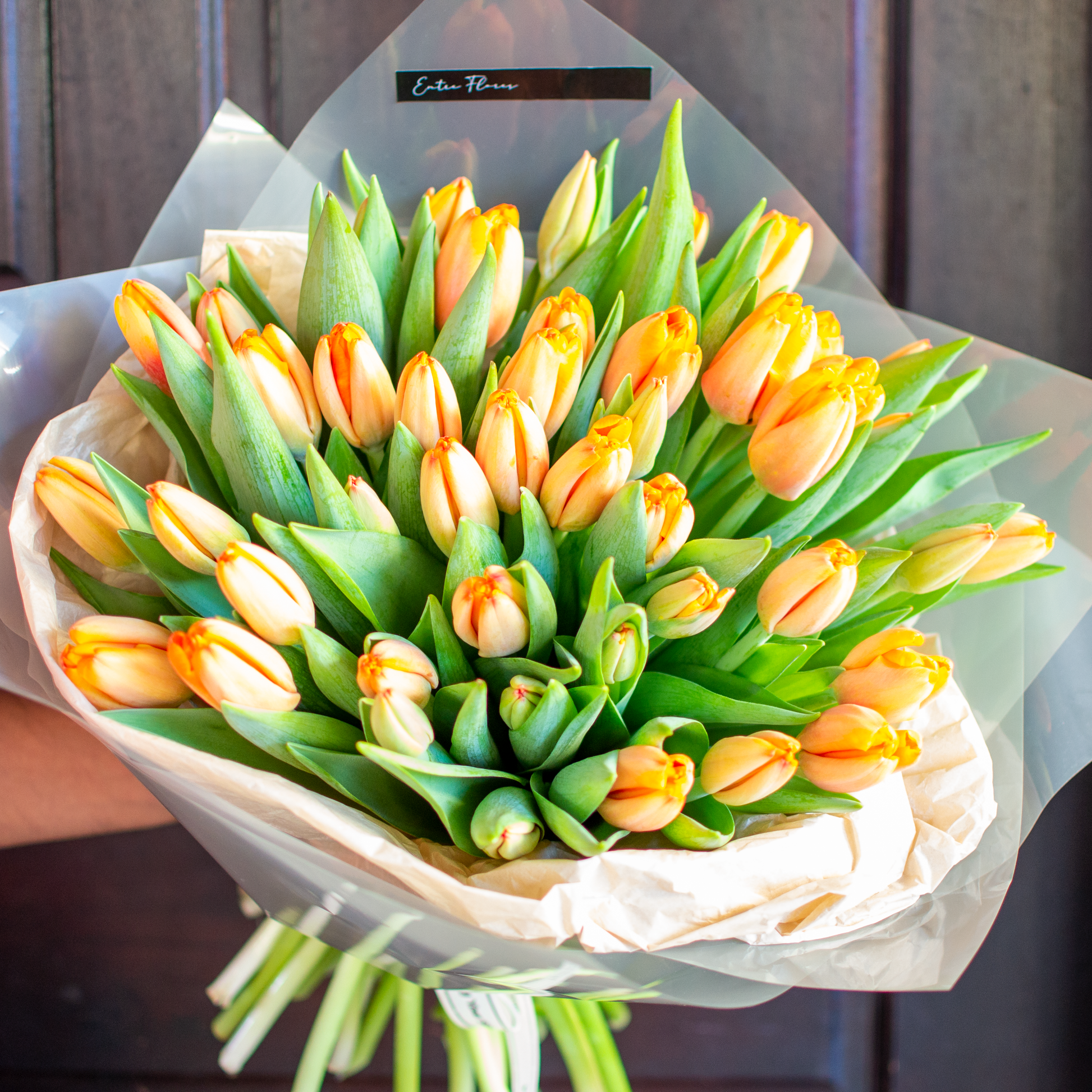 Tulipanes Premium