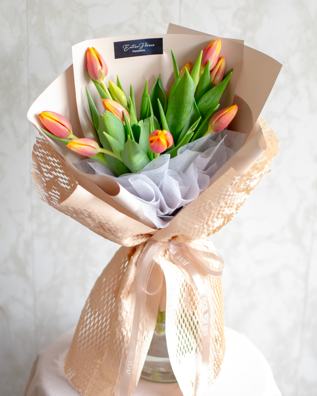 Tulipanes de Ensueño